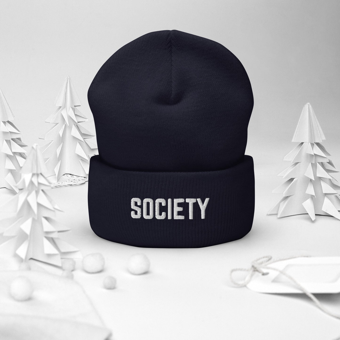 RiCHJVNKIE SOCIETY Cuffed Beanie Pretty Junkie Apparel