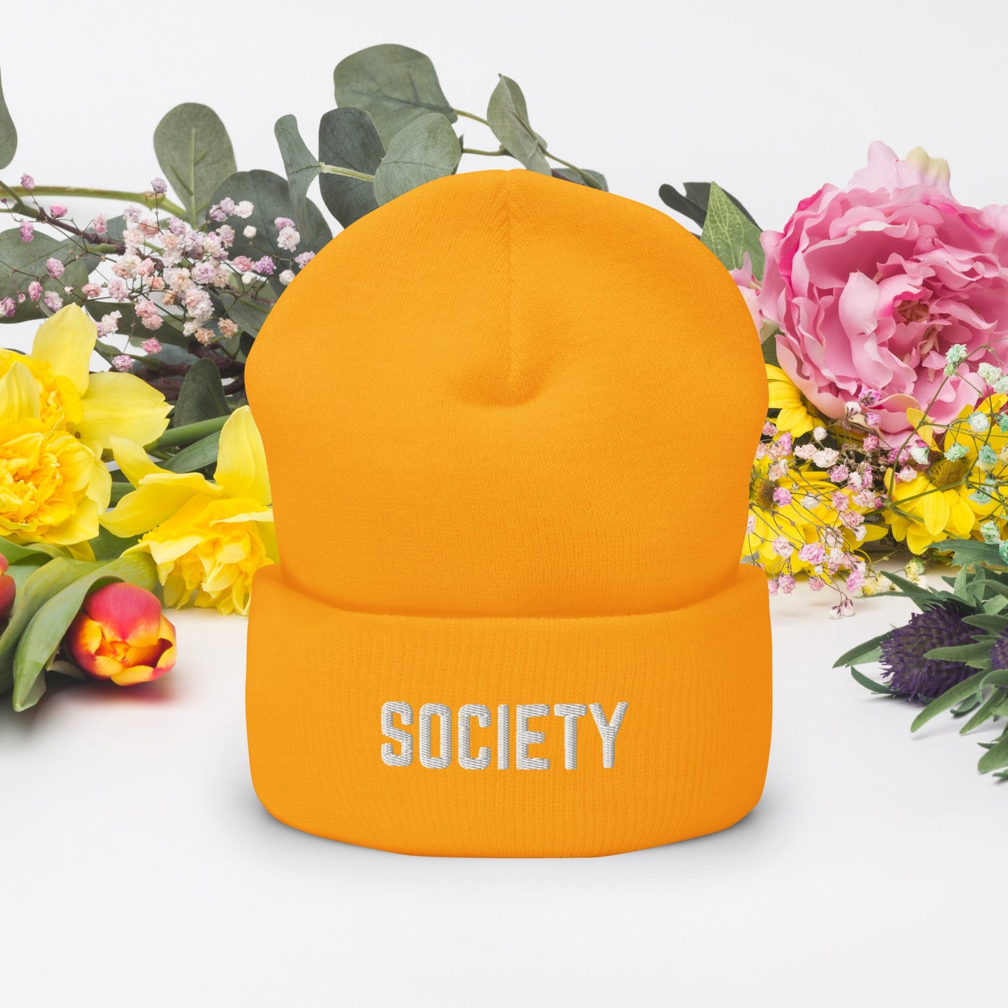 RiCHJVNKIE SOCIETY Cuffed Beanie Pretty Junkie Apparel