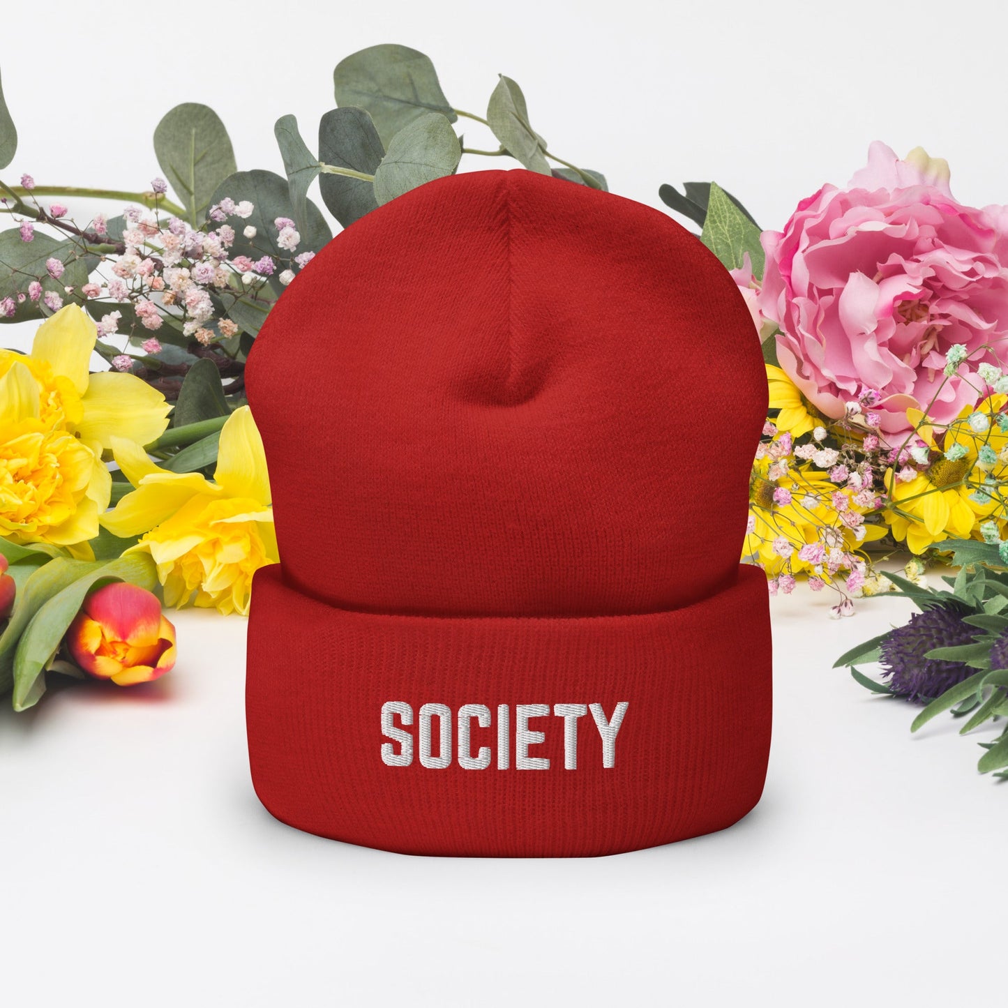 RiCHJVNKIE SOCIETY Cuffed Beanie Pretty Junkie Apparel