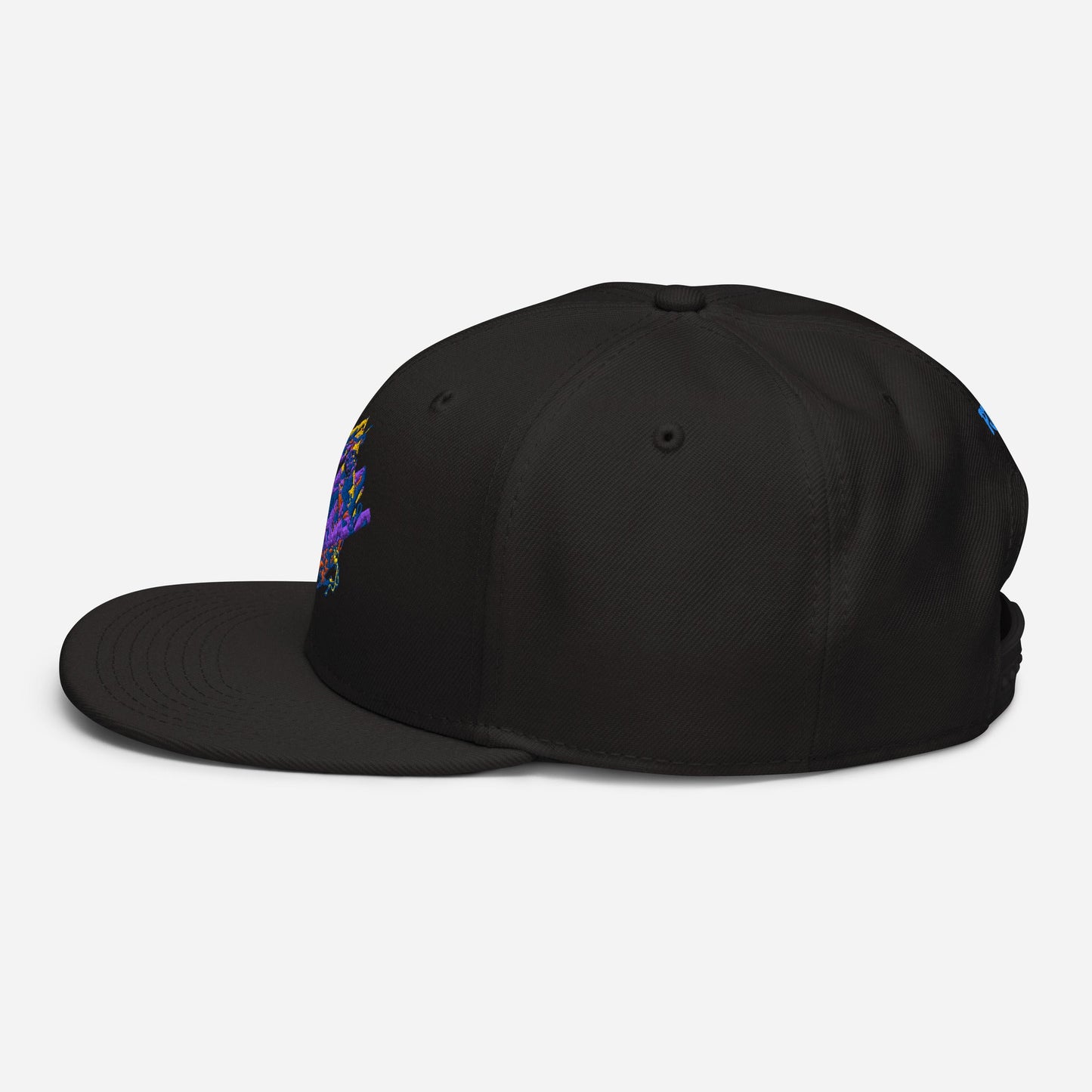 Electric Junkie Snapback Cap Pretty Junkie Apparel