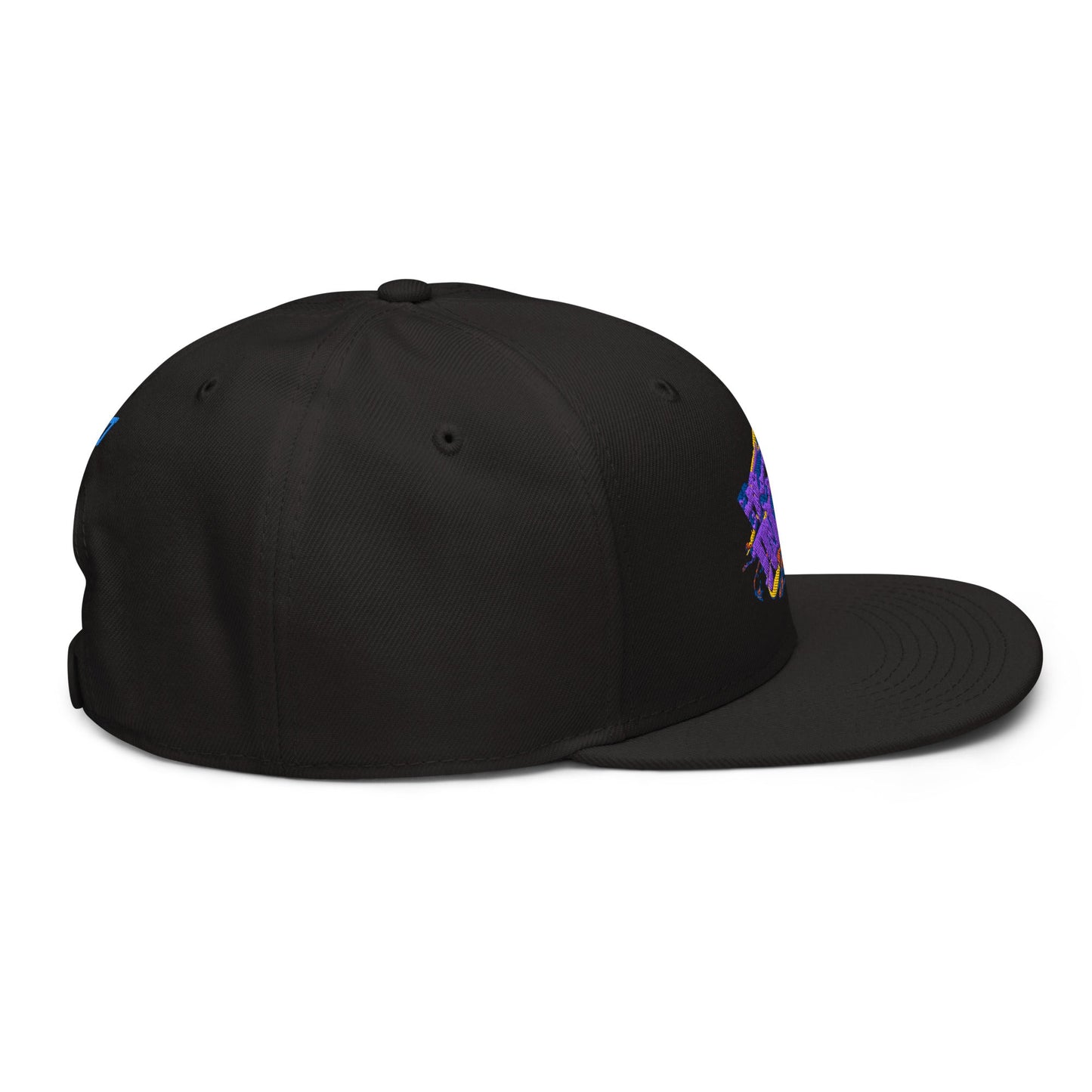 Electric Junkie Snapback Cap Pretty Junkie Apparel